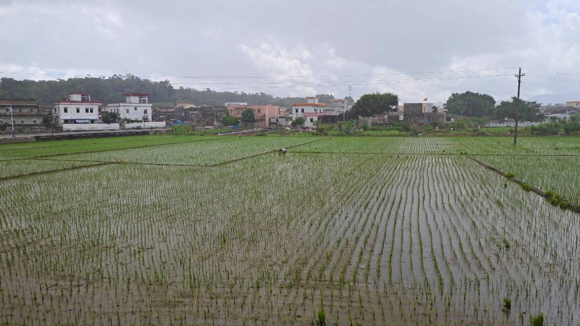 台山 古村一日游 (浮石，浮月村)(2020 08 14)