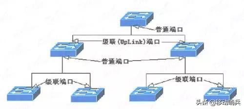 图解交换机与路由器组网