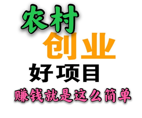 找项目的看过来，这几个新项目很不错，发家致富很容易