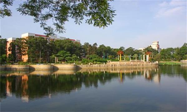 广西大学