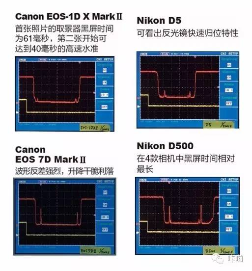 Nikon、Canon 顶级单反综合实力大对决，究竟谁是真正的王者