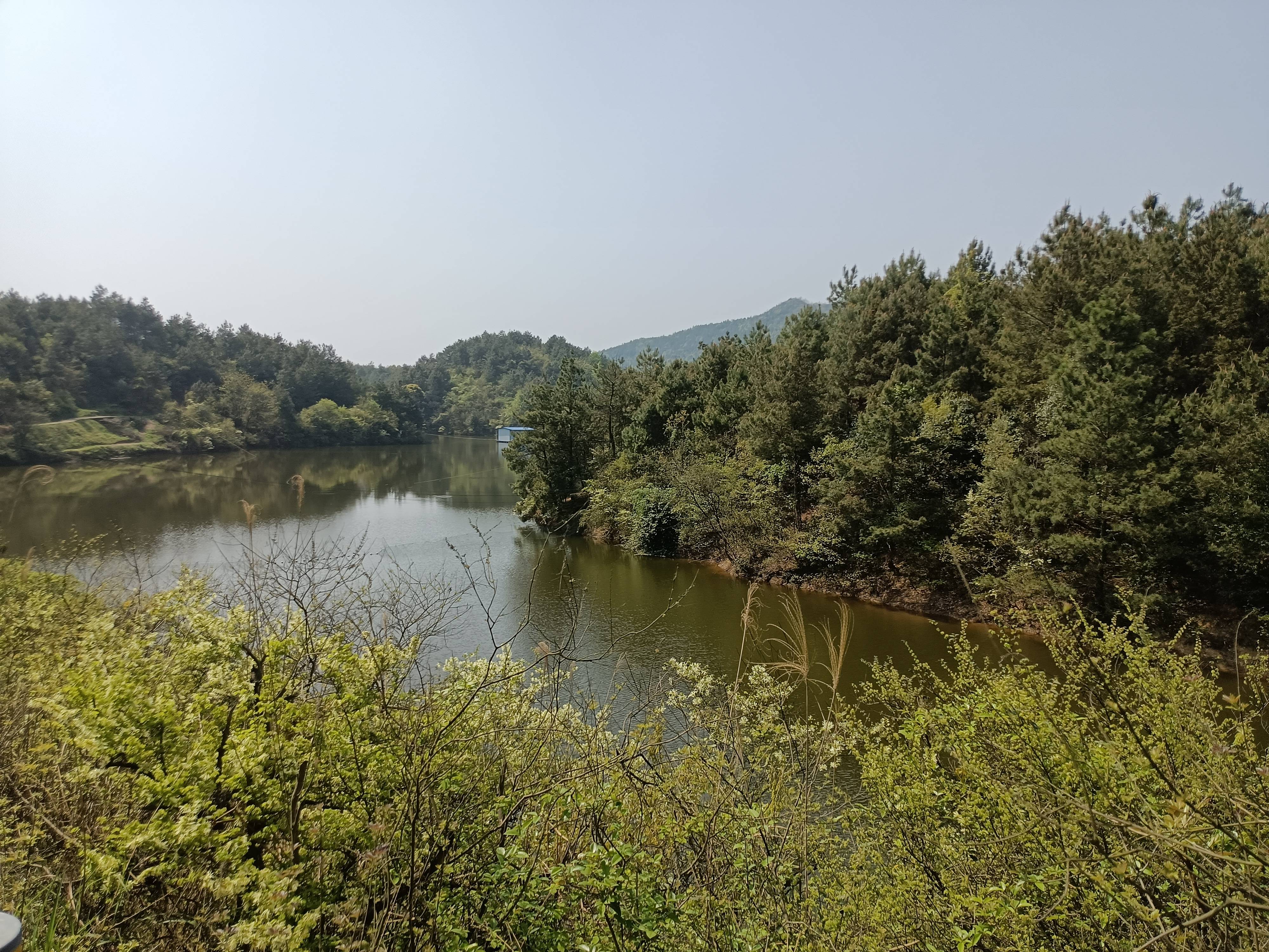 湖南宁乡灰汤偕乐桥高塘水库，山清水美秀如画，山花烂漫映山红