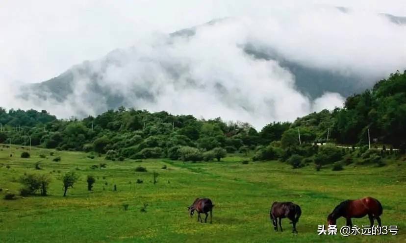 宝鸡十六大旅游景区大盘点