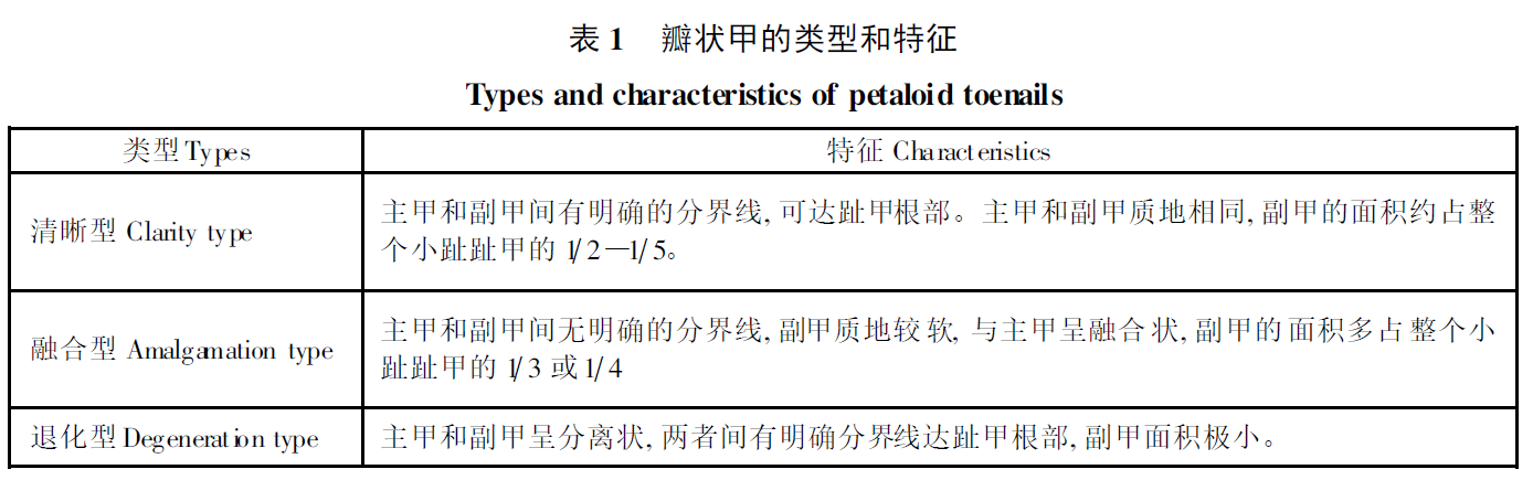 小脚趾指甲分成两瓣的人，他们究竟是从哪来的？