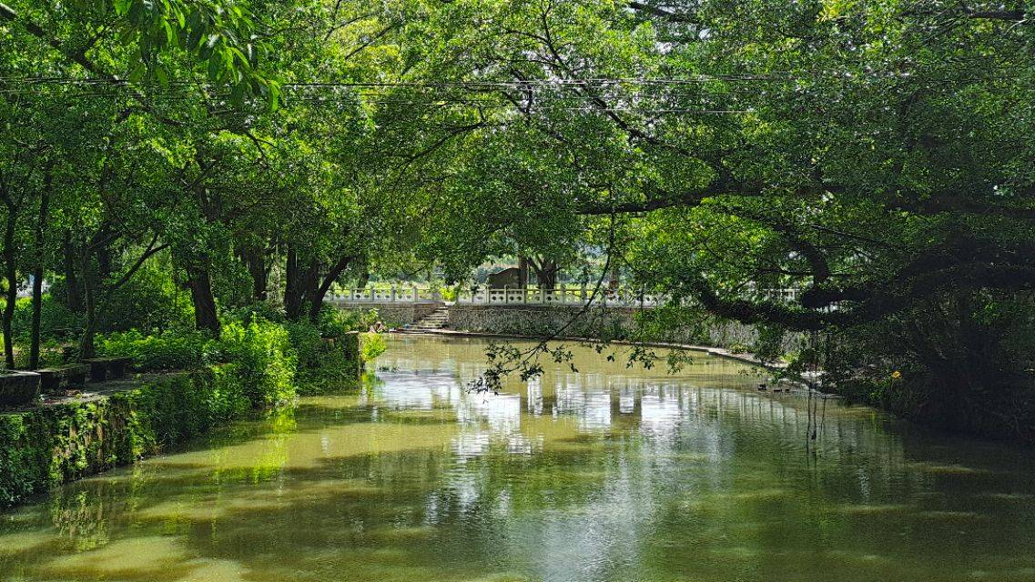 台山 古村一日游 (浮石，浮月村)(2020 08 14)