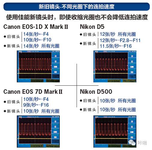 Nikon、Canon 顶级单反综合实力大对决，究竟谁是真正的王者