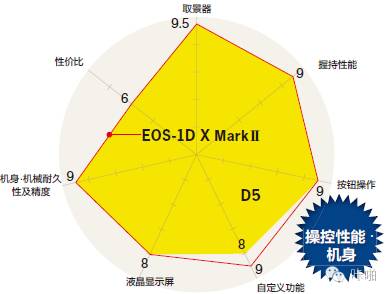 Nikon、Canon 顶级单反综合实力大对决，究竟谁是真正的王者