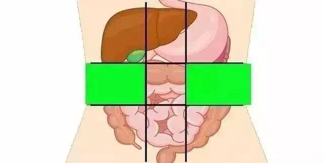 给你一张腹部地图，教你判断腹部疼痛的对应器官，或能终身受益