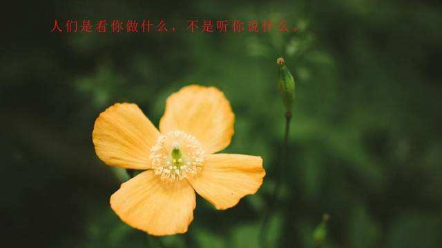超级正能量经典语录