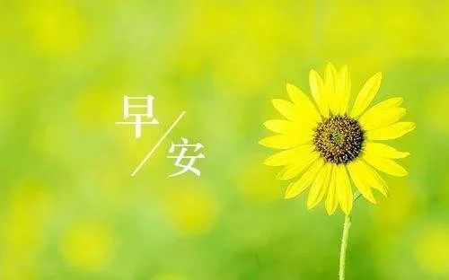 儒道至圣经典语录