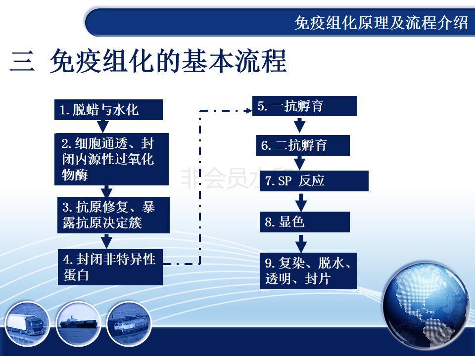 免疫组化的原理及流程介绍