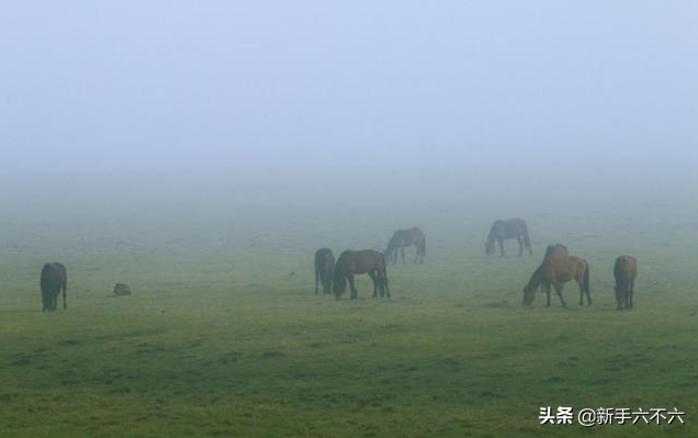 创业课堂分享农村乡镇创业赚钱的几个好项目