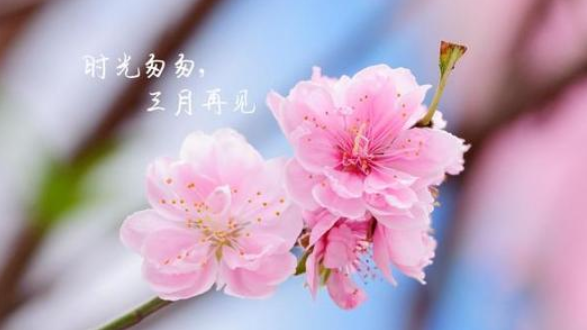三月最后一天励志朋友圈 月末最后一天唯美句子