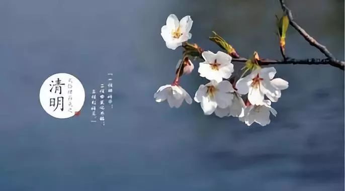 清明节话语寄深情 清明节寄语简短的