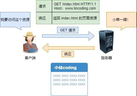 30张图讲解HTTP，不信你还不会