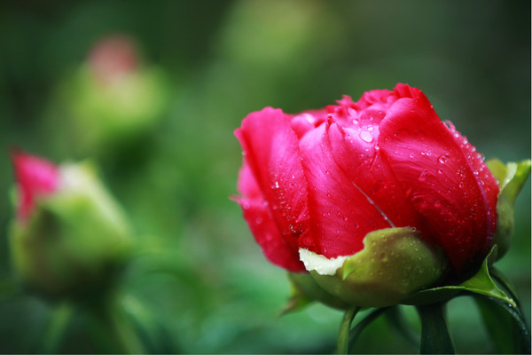 三月里的小雨心情说说