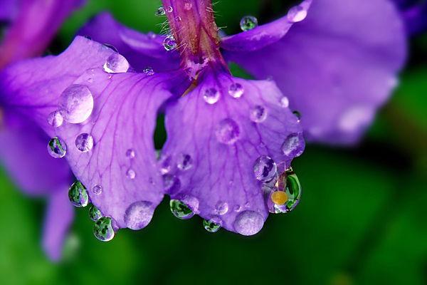 三月里的小雨心情说说