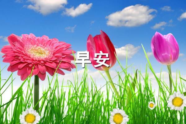 写给爱人的早安情话