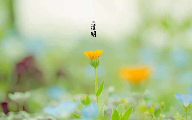 清明怀念图片大全 清明节祭拜亲人的图片