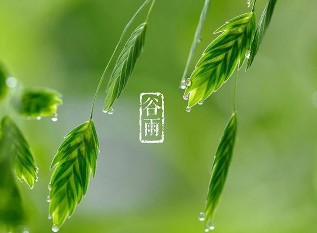 谷雨祝福图片加祝福语 谷雨时节图片
