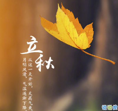 立秋励志的句子正能量爆棚 希望熬过一切星光璀