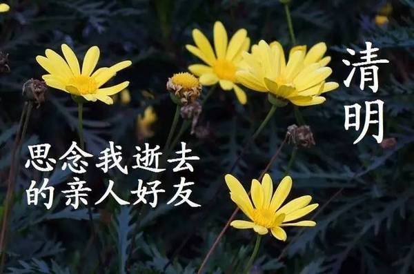思念天堂亲人的图片 清明思念亲人图带字