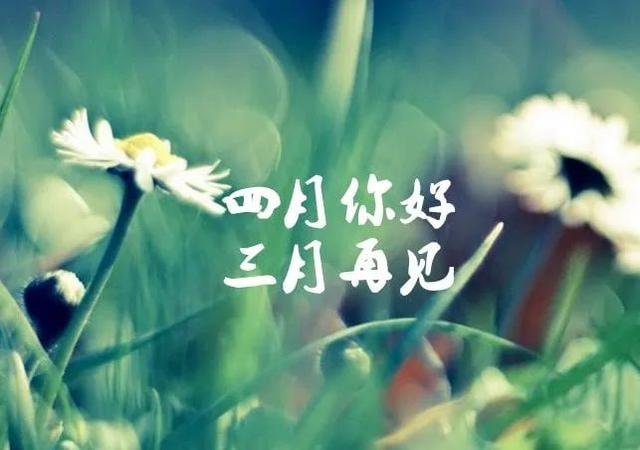 四月你好经典句子2021年4月你好