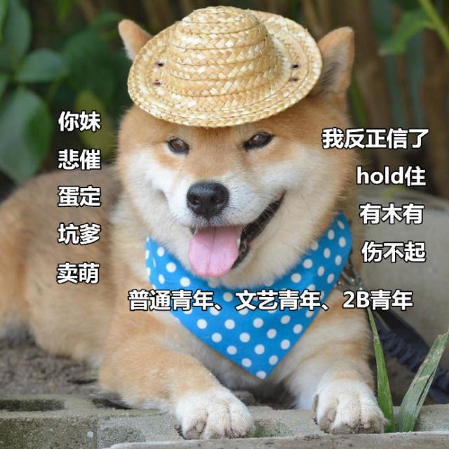 2021一波沙雕又可爱的文案