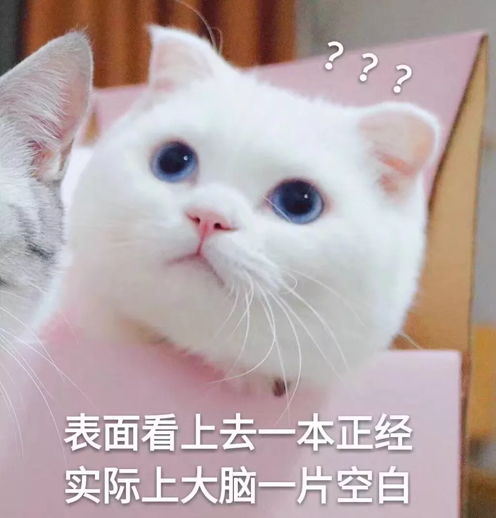 皮到爆炸的句子 幽默搞笑说说