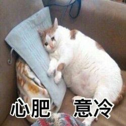 搞笑的个性说说 找抽，是一种生活态度