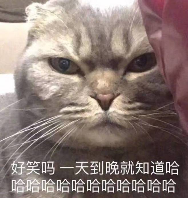 青春就像是卫生纸，没事你就少扯