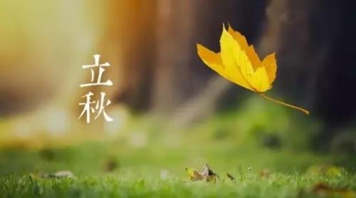 立秋了，生命中又一个夏天要过去了