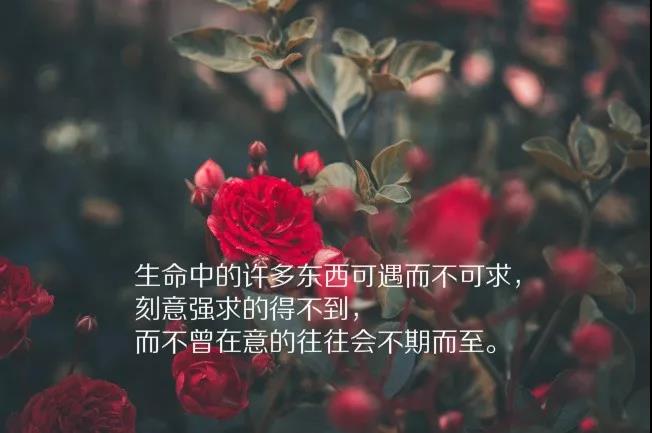 说说大全2021最新版的短句