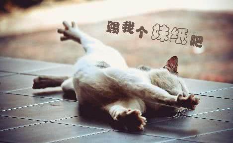 说说大全2021最新版的搞笑
