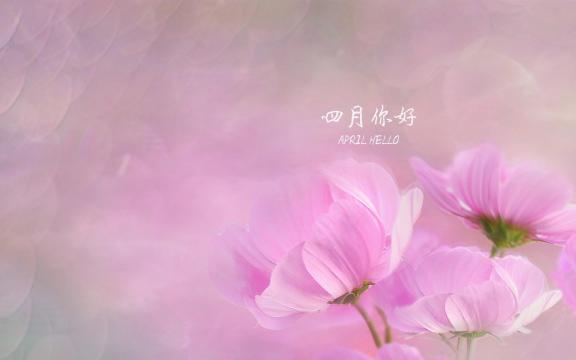 适合人间四月天的配图 最美人间四月天图片