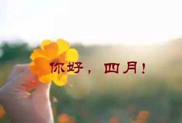 适合人间四月天的配图 最美人间四月天图片