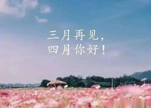 适合人间四月天的配图 最美人间四月天图片