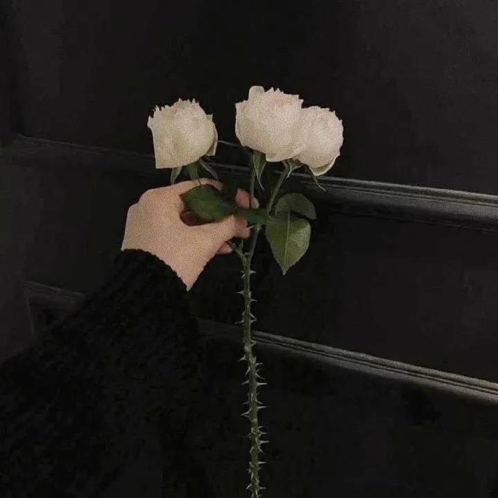 抖音什么句子容易火 抖音最火的经典短句