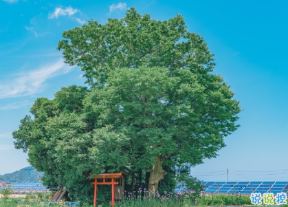 七月励志短句致自己2020 越努力越幸运