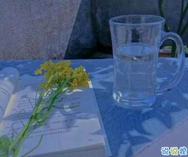 晚安励志短句发朋友圈 走更好的路遇见更优秀的