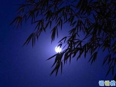努力奋斗的句子 致拼搏路上的自己