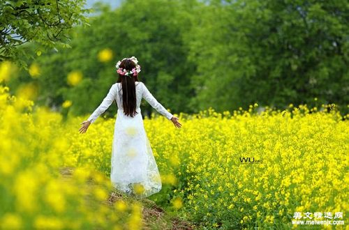 生活，是一树花开
