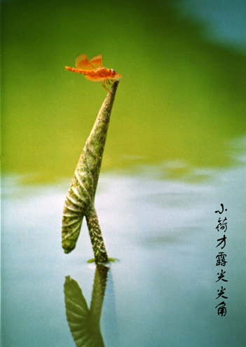 《小池·小荷才露尖尖角》