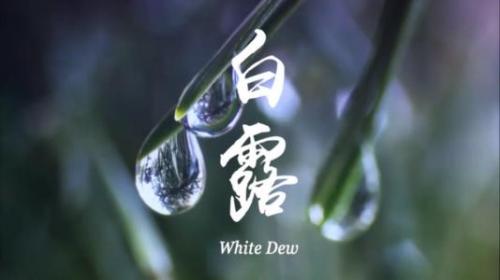 白露节气的朋友圈说说24句