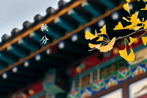 秋分说说朋友圈心情唯美句子30句