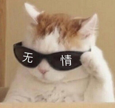 日常聊天搞笑句子精选