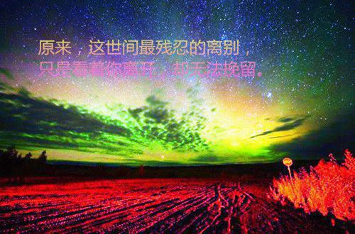 表达爱情伤感的心情句子16句