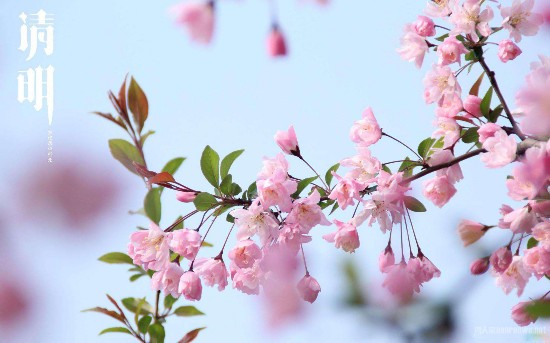 清明节早安问候语图片 清明节如何问候