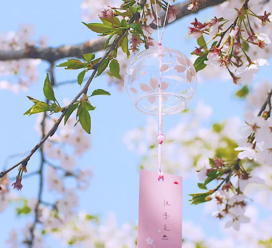 看樱花的说说朋友圈心情短语
