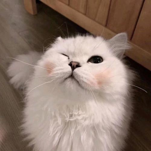经典语录累人生感悟精选